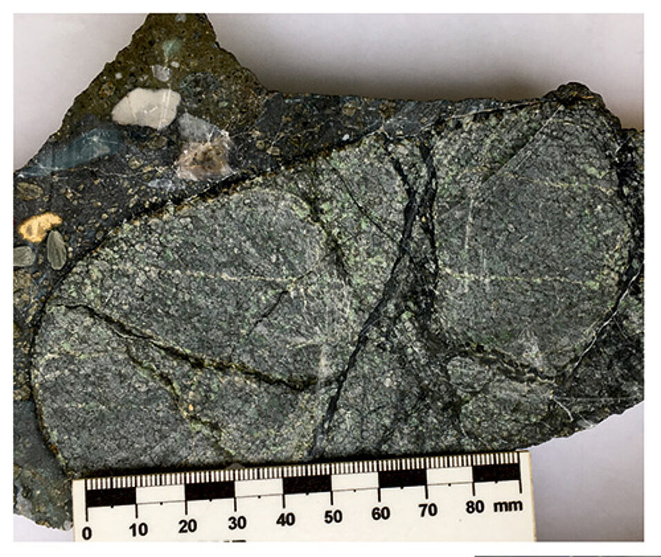 A microscale window onto the lithospheric mantle: centimetric hand-specimen of an ultramafic xenolith enclosed in the Udachnaya kimberlite. Copyright: © Federico Casetta & Rainer Abart (University of Vienna).